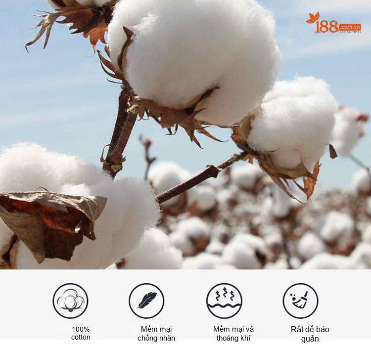 Áo Vest Nam Cotton Kiểu Hàn Quốc Dáng Ôm Màu Trắng Kem, Xanh Navy, Xanh Rêu chi tiết 4