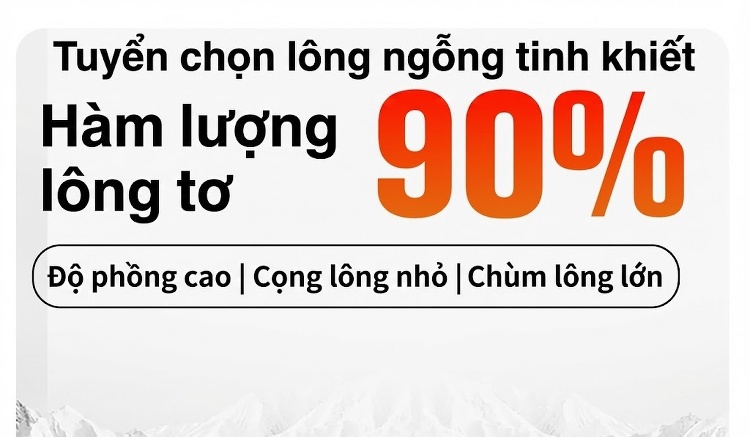 Áo Khoác Phao Lông Vũ Nam Trung Niên Cổ Bẻ Tháo Rời Màu Xanh Navy chi tiết 9