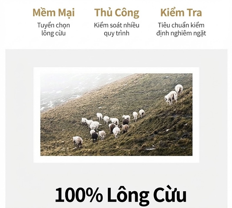 Áo Khoác Dạ Nữ Hai Mặt Dáng Dài Chiết Eo Cổ chữ Vest Phong Cách Hàn Quốc Màu Xanh, Đỏ, Nâu, Đen... chi tiết 6