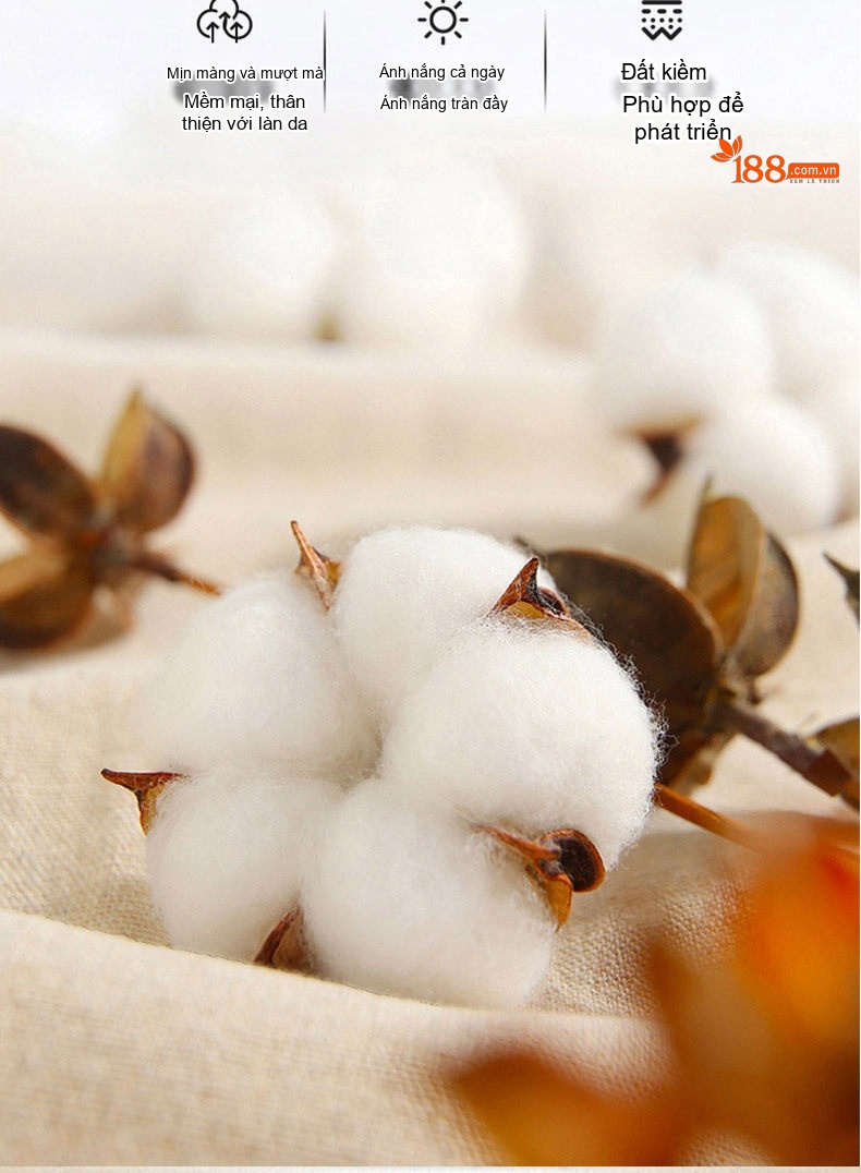 Quần Dài Nam Cotton Ống Suông Rộng Thoải Mái Màu Đen, Xám, Xanh Navy, Nâu chi tiết 2