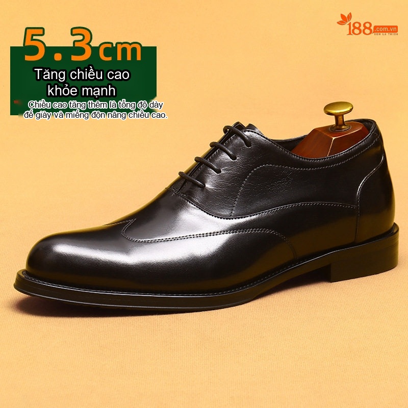 Giày Tây Buộc Dây Nam Da Bò Chiều Cao Đế 5.3cm Màu Đen, Nâu