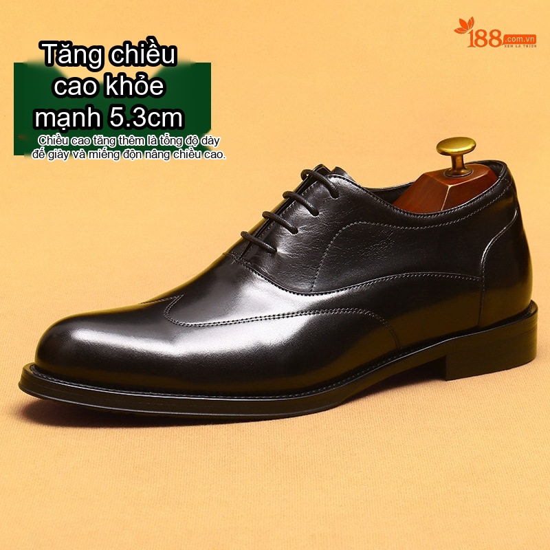 Giày Tây Buộc Dây Nam Da Bò Chiều Cao Đế 5.3cm Mũi Nhọn Màu Đen, Nâu