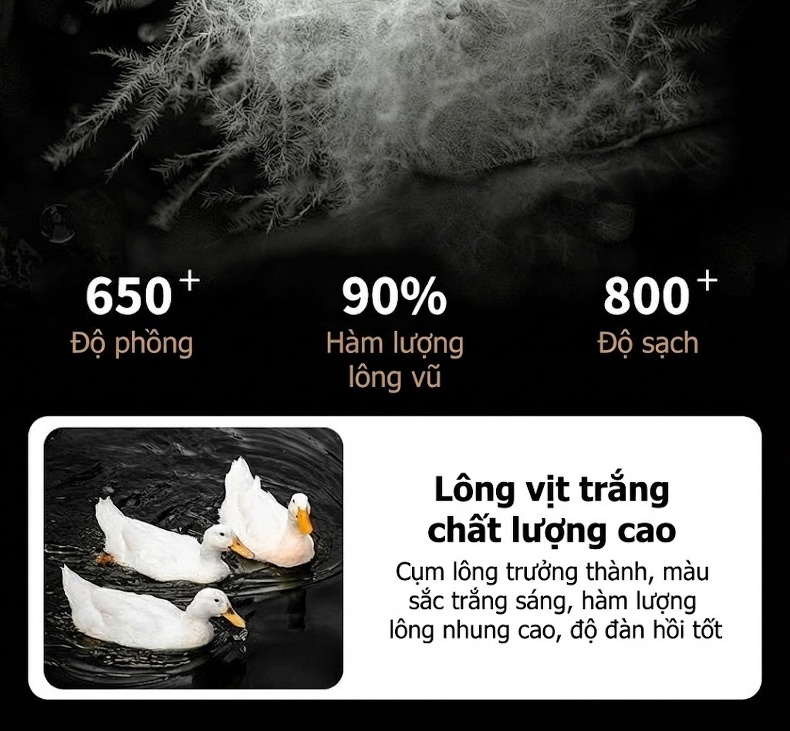 Áo Khoác Dạ Nam Lông Cừu Dáng Dài Trung Niên Lót Lông Vũ Ấm Áp Màu Đen chi tiết 9