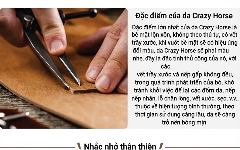 Túi Đeo Vai Nam Da Mộc Kiểu Dáng Postman Nắp Gập Cao Cấp Màu Nâu chi tiết 2