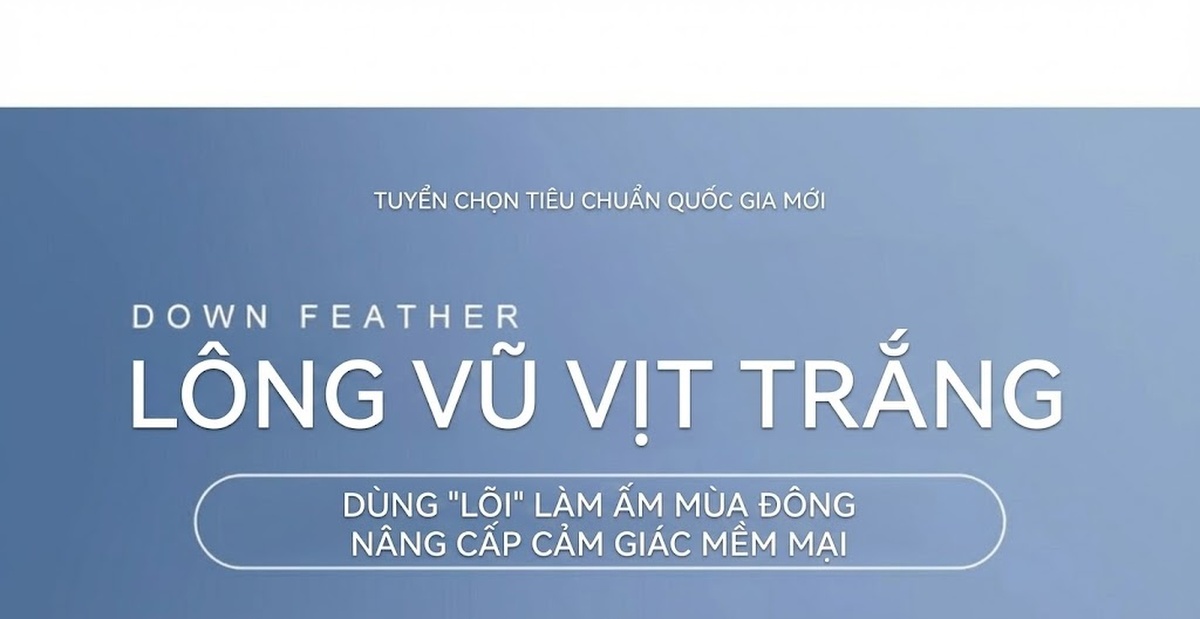 Áo Phao Nữ Ngắn Tay Dáng Nhỏ Gọn Cao Cấp Lót Lông Vũ Trắng Dày Dặn Màu Trắng, Đen chi tiết 11