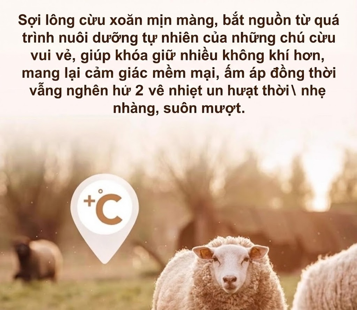 Áo Khoác Lông Cừu Nữ Màu Đỏ Đô Phong Cách Tiểu Thư chi tiết 4