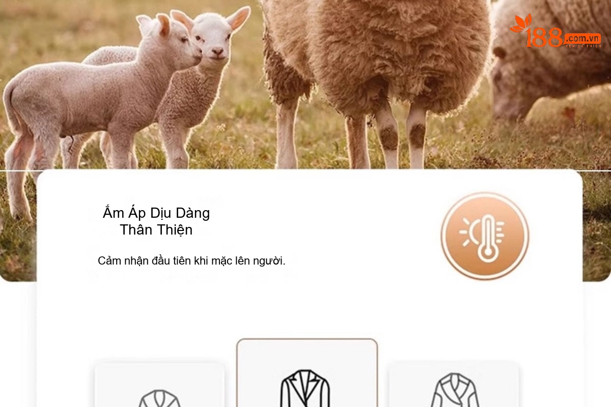 Áo Khoác Lông Cừu Nữ Màu Đỏ Đô Phong Cách Tiểu Thư chi tiết 5
