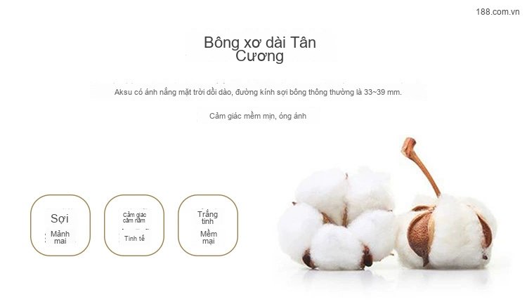 Áo Sơ Mi Nam Tay Dài Cotton Kẻ Sọc Thanh Lịch Phong Cách Công Sở Màu Trắng, Xanh, Đen, Đỏ... chi tiết 4