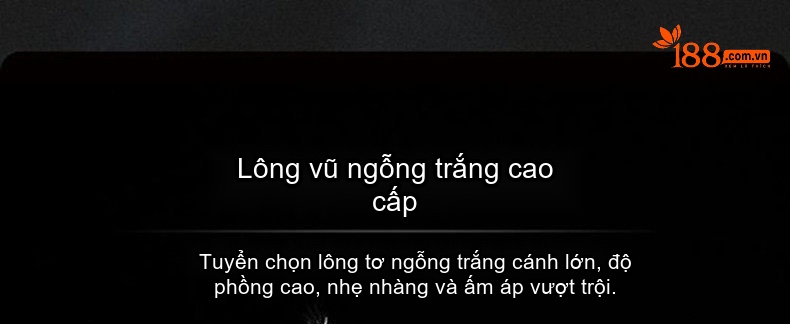 Áo Khoác Phao Lông Vũ Nam Dáng Ngắn Giữ Ấm Phong Cách Tối Giản Màu Đen chi tiết 6
