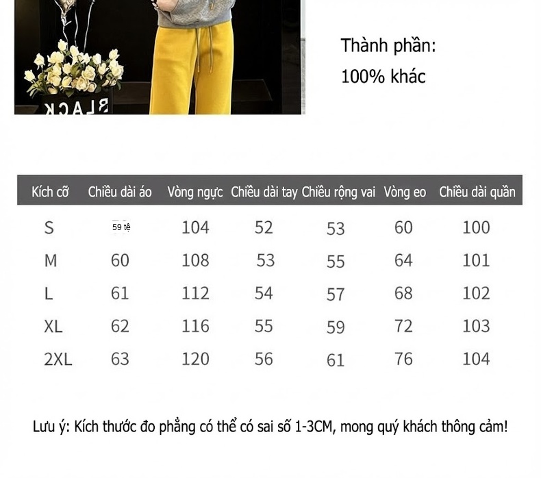 Bộ đồ thể thao nữ áo hoodie quần dài vải nỉ lót lông màu xám chi tiết 2