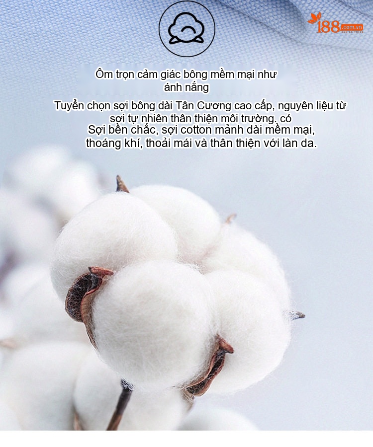 Áo Sơ Mi Tay Ngắn Nam Cotton Oxford Màu Trắng, Xanh Dương, Xanh Mint, Hồng... chi tiết 14