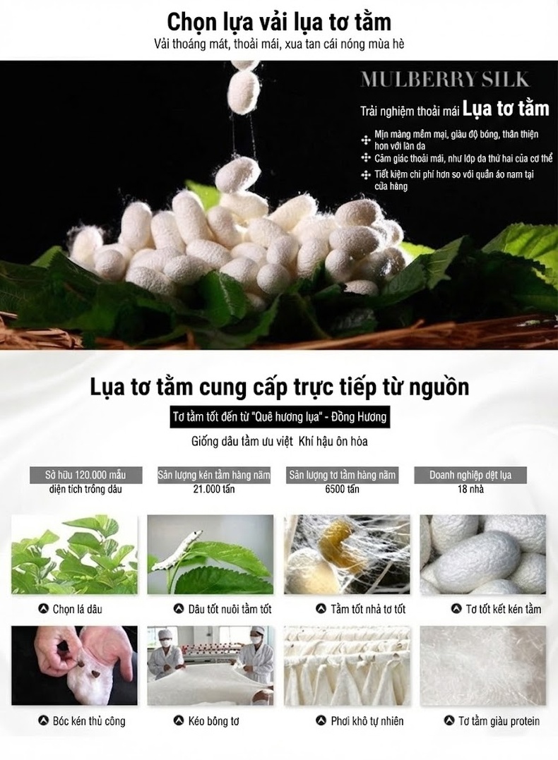 Áo Sơ Mi Nam Tay Ngắn Lụa Tằm Tự Nhiên Chống Nhăn Phong Cách Doanh Nhân Màu Đen chi tiết 3