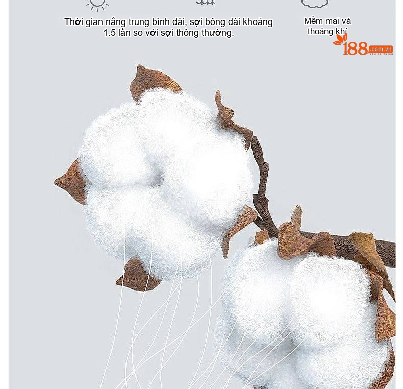 Áo Thun Dài Tay Nam Sợi Amoniac Lụa Cotton Áo Kiểu Mặc Lót Cao Cấp Màu Trắng, Xám, Xanh, Nâu... chi tiết 9