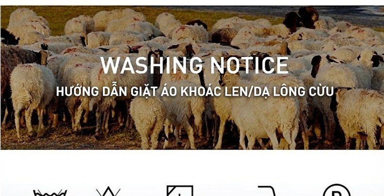 Áo Khoác Nam Dệt Kim Lông Cừu Có Khóa Kéo Cổ Trụ Phong Cách Doanh Nhân Màu Đen, Nâu chi tiết 5