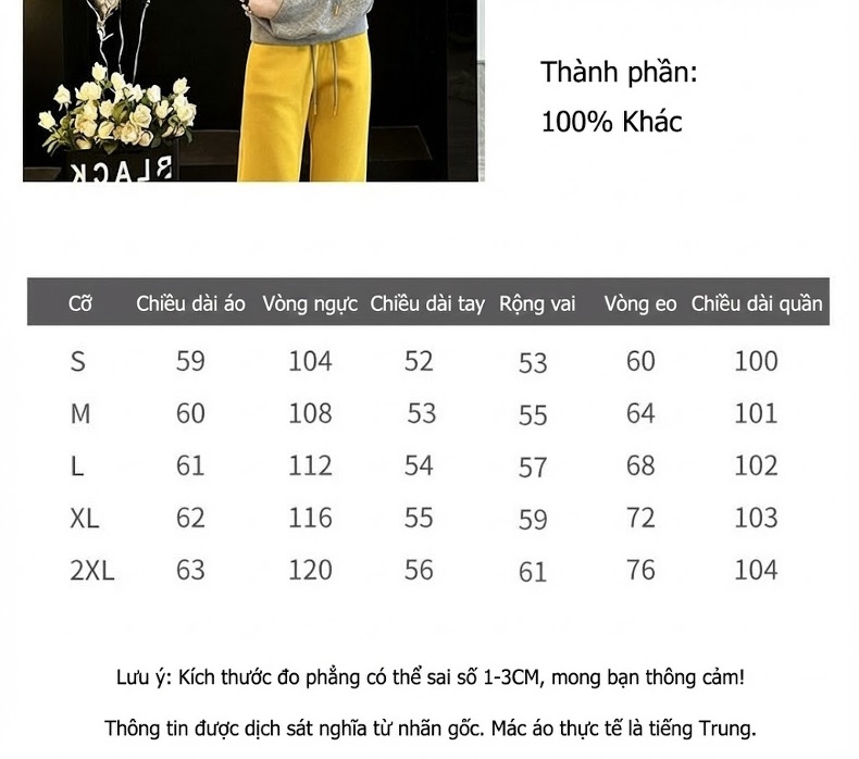 Bộ đồ thể thao nữ áo hoodie quần dài dáng rộng lót lông màu xám chi tiết 1