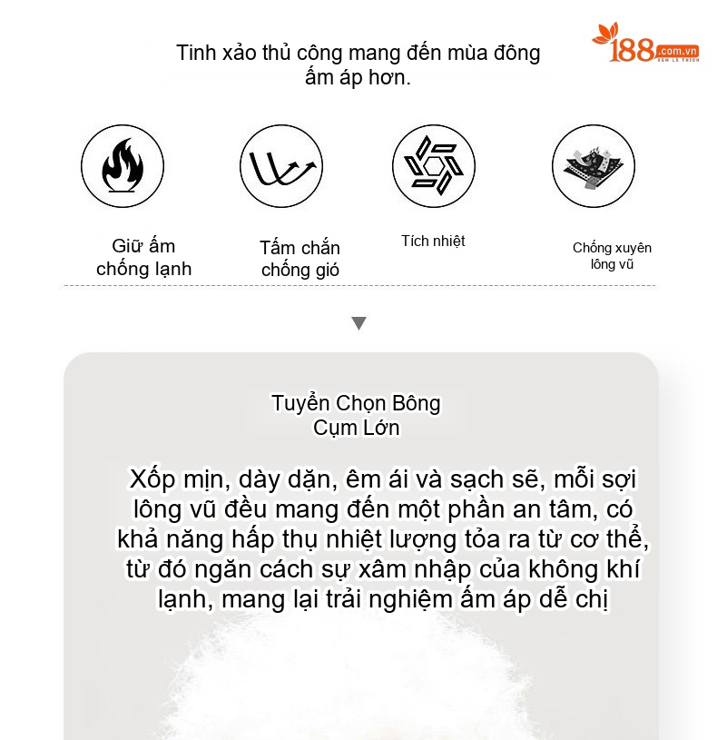 Áo Gile Phao Lông Vũ Nam 90% Lót Lông Vịt Trắng Giữ Ấm Không Tay Màu Đen chi tiết 3