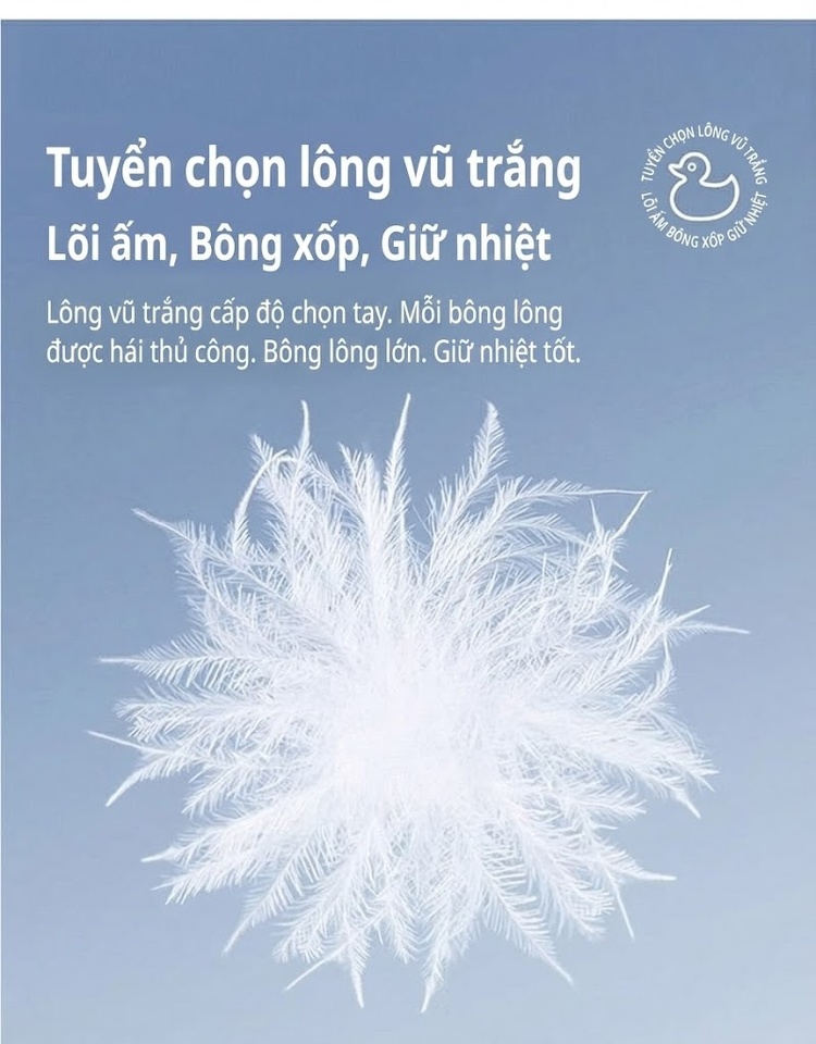 Áo Khoác Phao Nữ Ngắn Tay Thiết Kế Trung Hoa Cổ Điển Thêu Hoa Cúc Nhồi Bông Lông Vũ Màu Đỏ, Vàng chi tiết 10