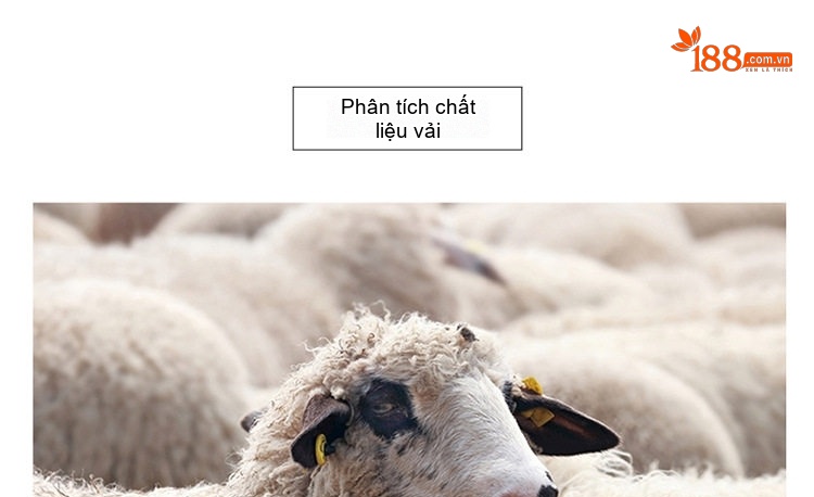 Áo Khoác Dạ Nam Lông Vũ Tháo Rời Hai Mặt Áo Khoác Lông Cừu Dáng Dài Màu Xám chi tiết 26