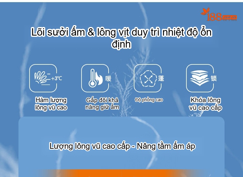 Áo Khoác Phao Nam Trung Niên Chất Liệu Milk Silk Lót Lông Vũ Trắng 85/15 Màu Xanh Navy chi tiết 8