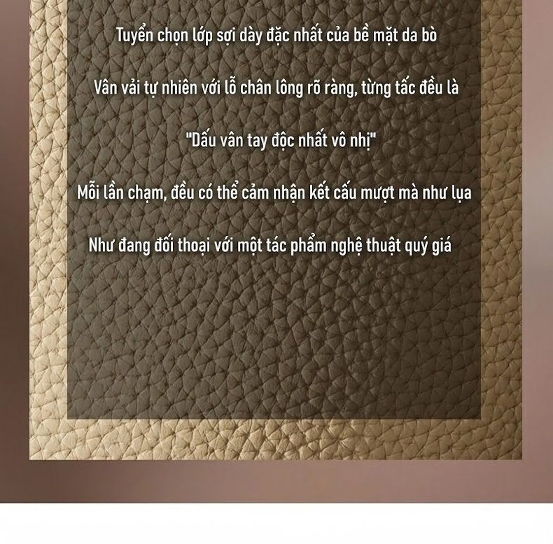 Túi Đeo Chéo Nữ Da Bò Mini Thiết Kế Tinh Tế Màu Be, Nâu chi tiết 14
