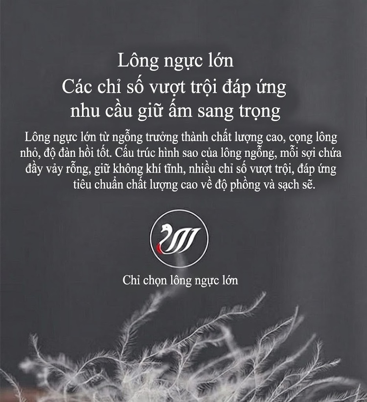Quần Dài Nam Lông Vũ Cao Cấp Dáng Rộng Thoải Mái Chống Thấm Nước Màu Đen chi tiết 5