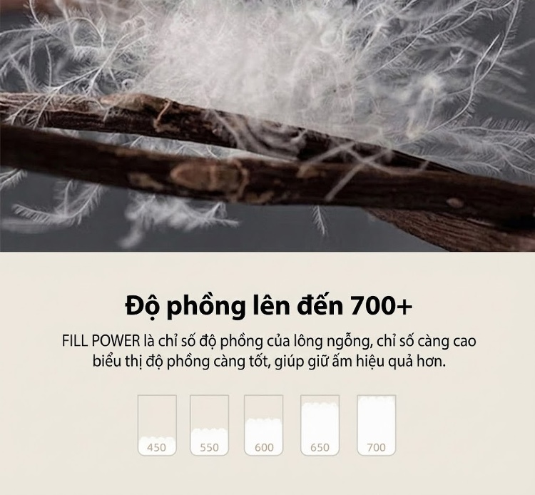 Quần Dài Nam Lông Vũ Cao Cấp Dáng Rộng Thoải Mái Chống Thấm Nước Màu Đen chi tiết 6