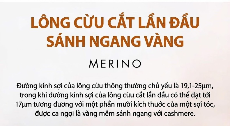 Áo Vest Nam Lông Cừu Hai Mặt Kẻ Ôm Dáng Thu Đông Dày Dặn Màu Xám chi tiết 5