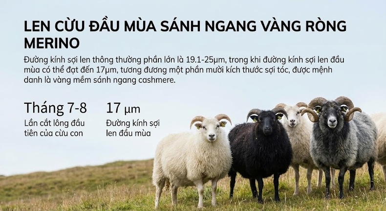 Áo Khoác Dạ Nam Hai Mặt Dáng Ôm Vừa Vặn Màu Xám chi tiết 25