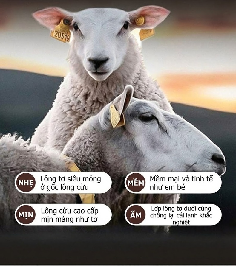 Áo Khoác Dạ Nam 100% Lông Cừu Dáng Ngắn Màu Đen, Nâu chi tiết 7