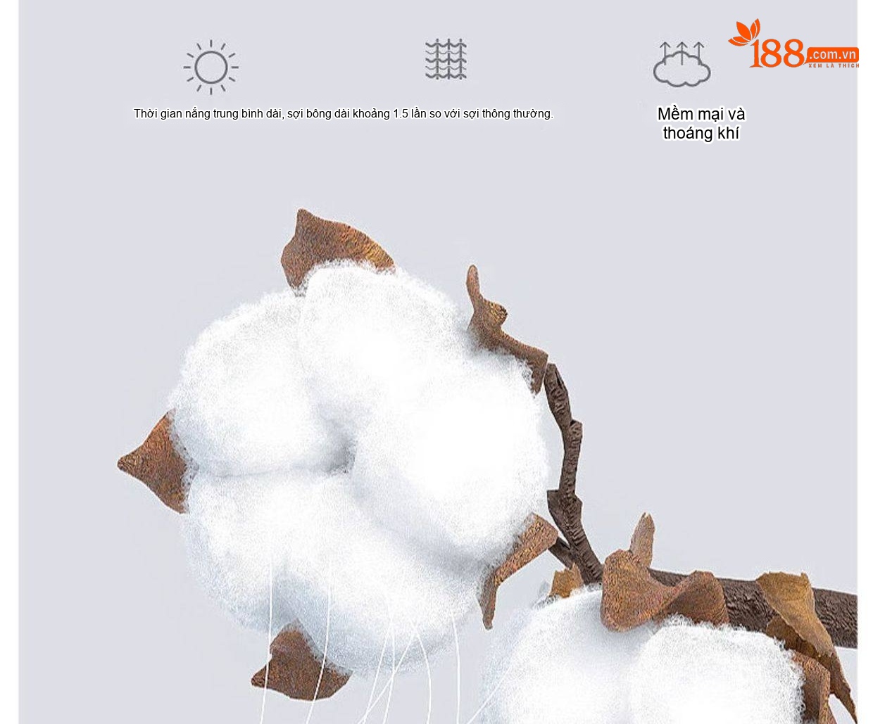 Áo Thun Dài Tay Nam Cotton Lụa Mềm Mại Form Rộng Màu Xanh Navy, Xám, Đen, Nâu chi tiết 10