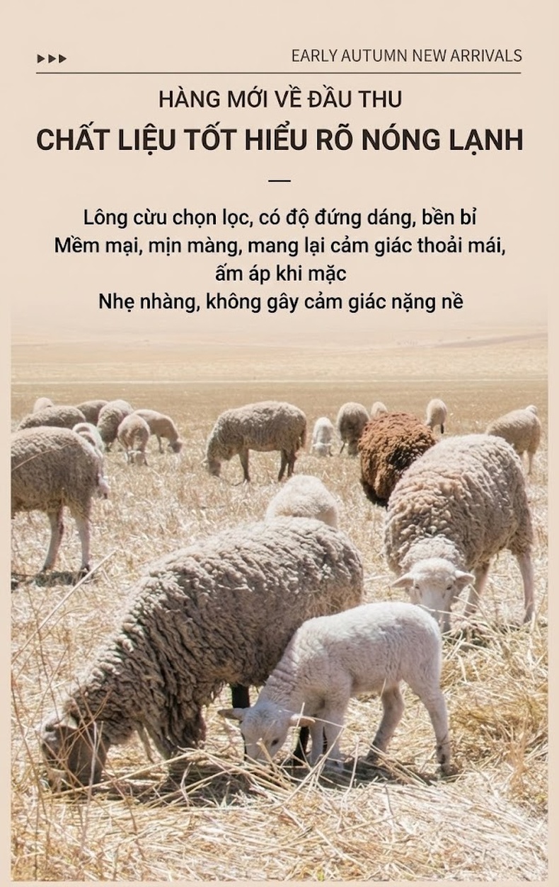 Áo Khoác Nam Trung Niên Lót Lông Vũ Tháo Rời, Dệt Kim Màu Nâu, Đen chi tiết 6