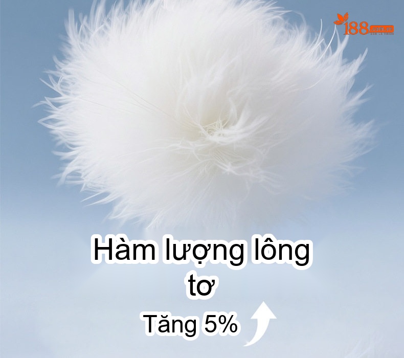 Áo Khoác Phao Nam Lông Vũ Trắng Dáng Ngắn Giữ Ấm Mùa Đông Màu Đen, Xám, Xanh Navy chi tiết 4