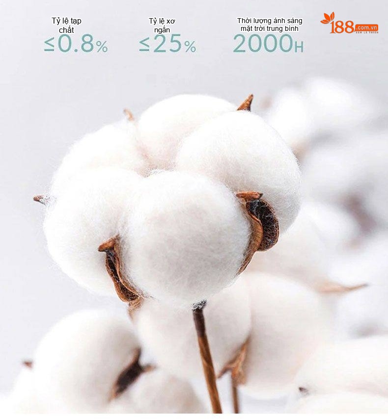 Quần Dài Nam Cotton Ống Suông Rộng Thoải Mái Màu Be, Đen, Xanh Navy, Xám chi tiết 7
