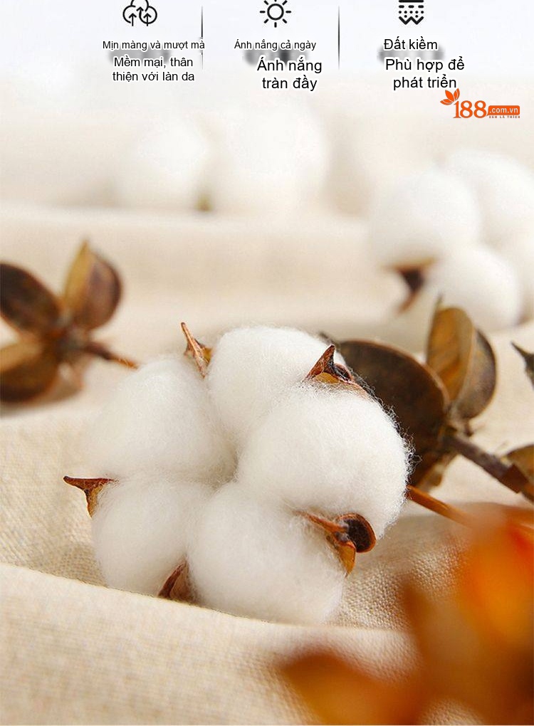 Quần Dài Nam Cotton Ống Suông Rộng Thoải Mái Màu Đen, Xám, Xanh Navy, Nâu chi tiết 32