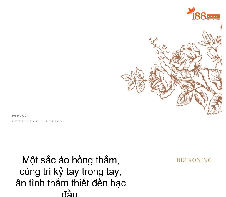 Váy Dạ Hội Nữ Nhung Dây Đeo Phong Cách Tiểu Thư Dự Tiệc Sinh Nhật Màu Đen, Đỏ chi tiết 2