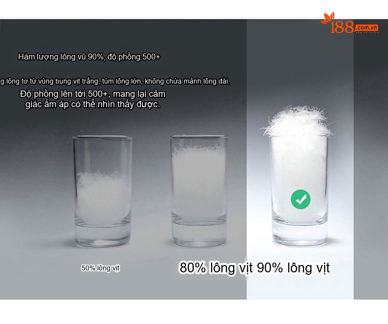 Áo Phao Nữ Dáng Ngắn Thiết Kế Thời Trang, Áo Khoác Nữ Lót Lông Vịt Trắng Dày Dặn Màu Kem, Đen chi tiết 7