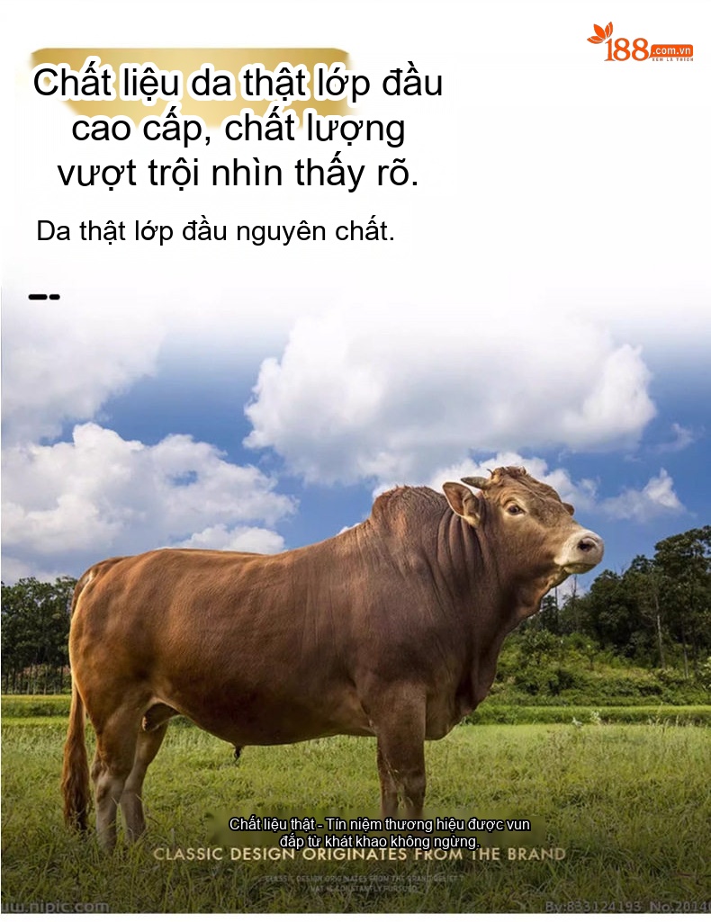 Áo Khoác Da Thật Nam Da Bò Cổ Bẻ Lót Lông Vũ Dày Dặn Màu Đen chi tiết 7