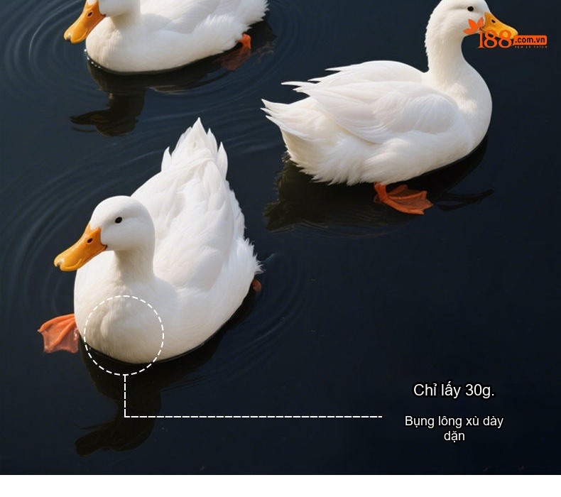Áo Khoác Dạ Nam 70% Lông Cừu Dáng Dài Lót Lông Vũ Có Thể Tháo Rời Màu Đen, Xám chi tiết 9