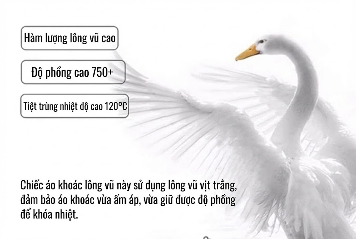 Áo Khoác Phao Nữ Ngắn Dáng Nhỏ Gọn Lót Lông Vịt Dày Ấm Áp Phong Cách Thời Trang Màu Đen, Nâu, Trắng, Xanh Rêu chi tiết 15