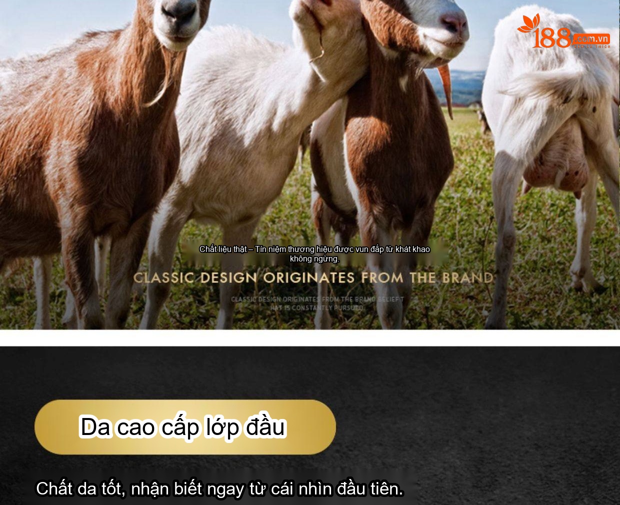Áo Khoác Da Thật Nam Lót Lông Chồn Cổ Bẻ Da Dê Ngắn Màu Đen chi tiết 11