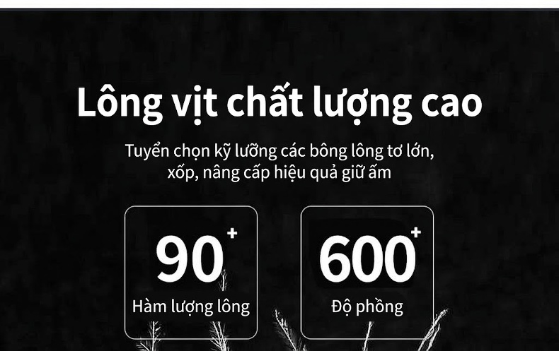 Áo Khoác Phao Nữ Dáng Vest Ôm Dáng Thời Trang Màu Đen, Nâu chi tiết 5