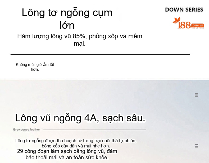 Quần Dài Ống Suông Nam Nữ Gọn Nhẹ Giữ Ấm Lót Lông Vũ Thể Thao Dáng Rộng Màu Đen chi tiết 2