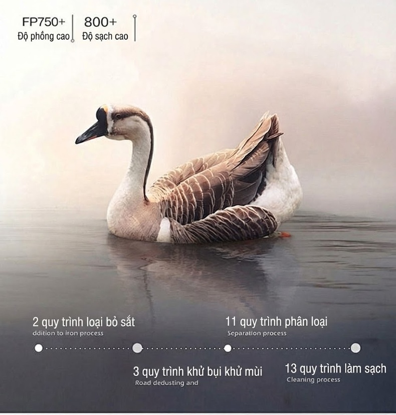 Quần Dài Ống Suông Nam Nữ Gọn Nhẹ Giữ Ấm Lót Lông Vũ Thể Thao Dáng Rộng Màu Đen chi tiết 3