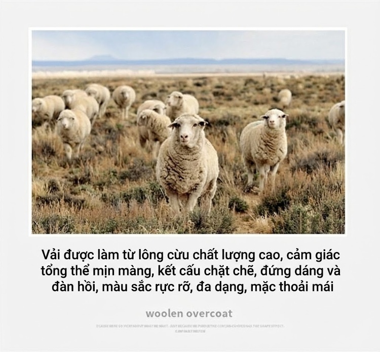 Áo Khoác Dạ Nam Lông Cừu Dáng Dài Trung Niên Phong Cách Công Sở Màu Đen, Nâu chi tiết 2