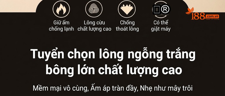 Áo Sơ Mi Nam Lót Lông Nhung Dày Dặn Giữ Ấm Màu Xanh Dương, Đỏ Tía, Xám, Xanh Lá... chi tiết 3