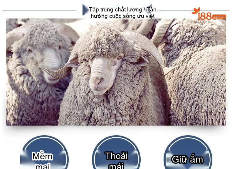 Áo Len Nam Cổ Lọ Dệt Kim Cashmere Dày Dặn Giữ Ấm Màu Nâu, Đỏ Rượu, Xám, Đen chi tiết 2
