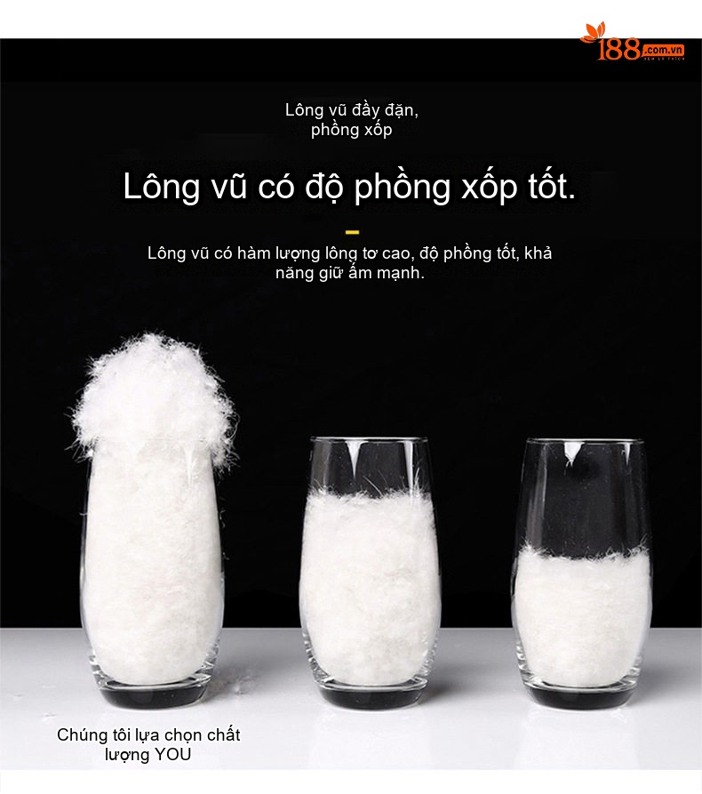 Áo Gile Lông Vũ Nam Áo Khoác Không Tay Lót Lông Vũ Trắng Dày Dặn Giữ Ấm Màu Trắng, Nâu, Xám, Đen chi tiết 7