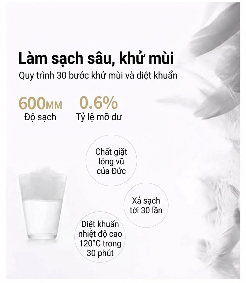 Áo Gile Phao Lông Vũ Nam 90% Lông Vịt Trắng Giữ Nhiệt Màu Đen, Đỏ chi tiết 4