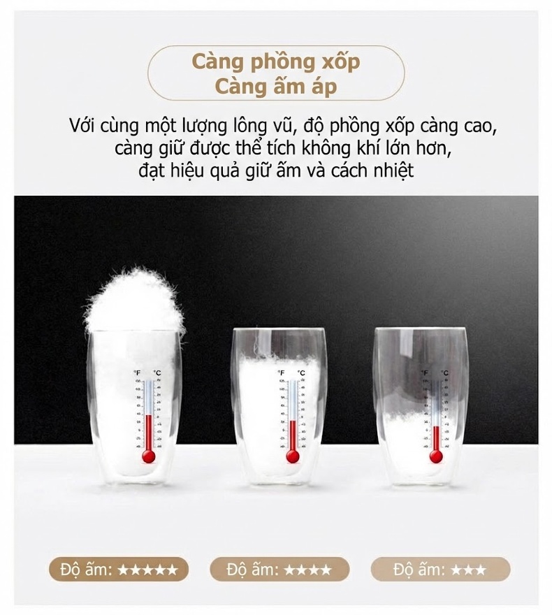Áo Gile Phao Lông Vũ Nam 90% Lông Vịt Trắng Giữ Nhiệt Màu Đen, Đỏ chi tiết 5