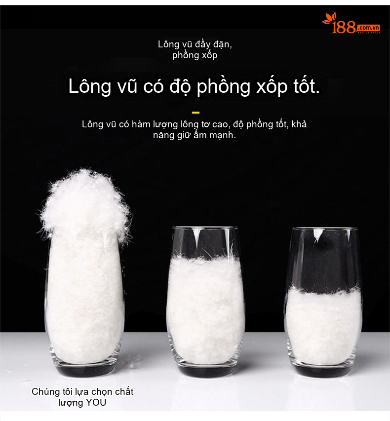Áo Khoác Bomber Nam Lót Lông Vũ Ấm Áp Chống Gió Màu Xám, Xanh Rêu, Đen, Nâu chi tiết 4
